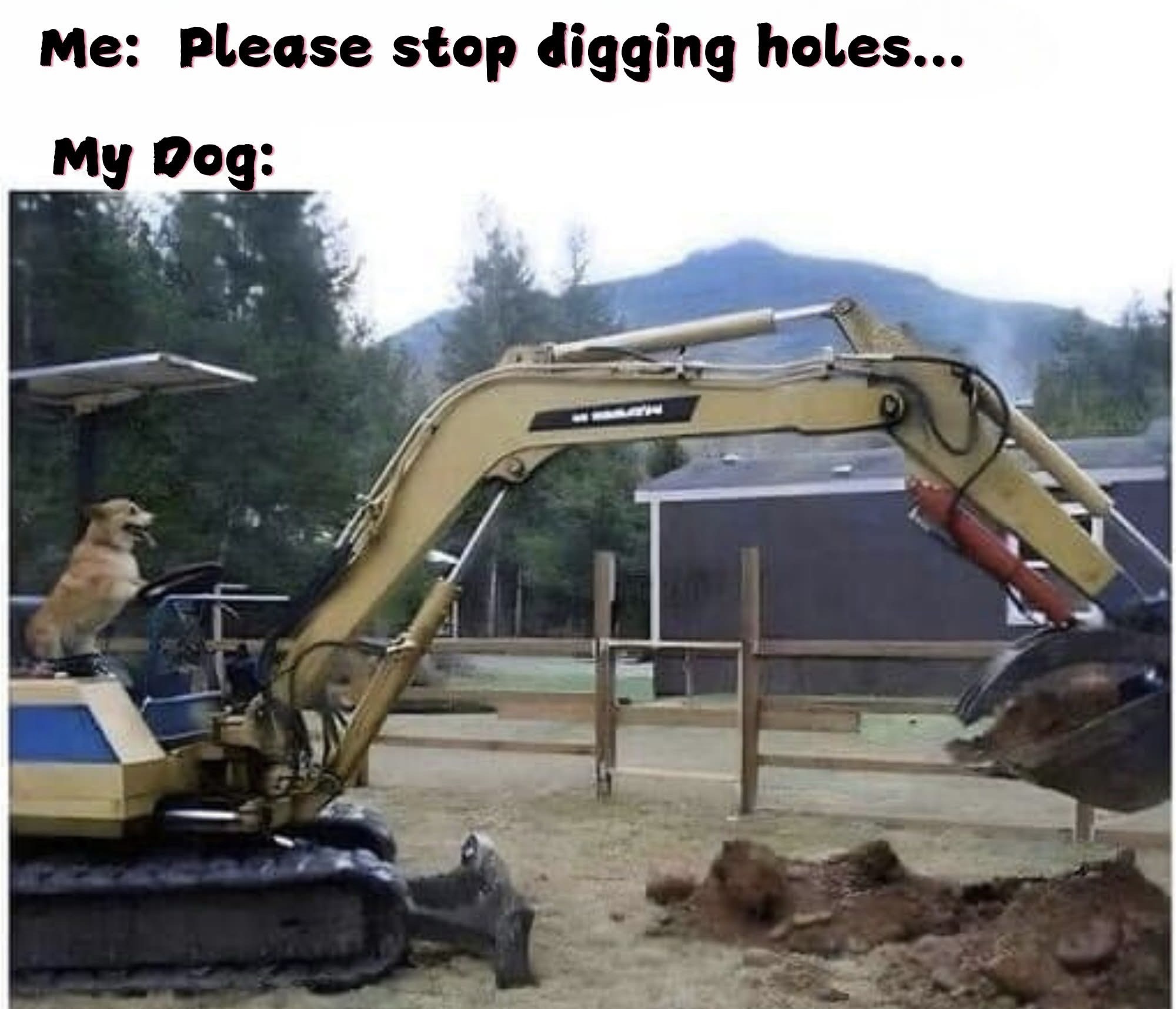 20 Memes That’ll Make You Laugh, Then Think, Then Laugh Again 13 Stop digging holes