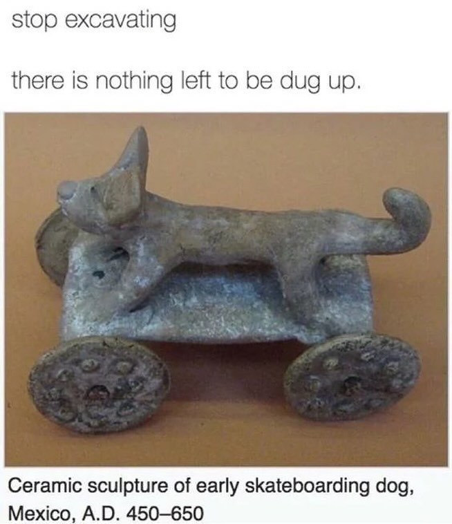 20 Ridiculous Animal Memes That Are Better Than Watching the News 15 Stop excavating - Ridiculous Animal Memes