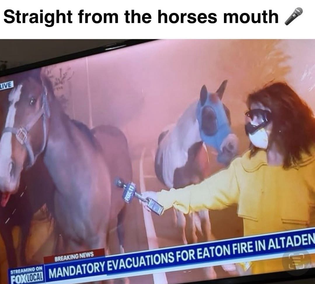 20 Memes to Cure Your Boredom in the Funniest Way Possible 20 Straight from horses mouth