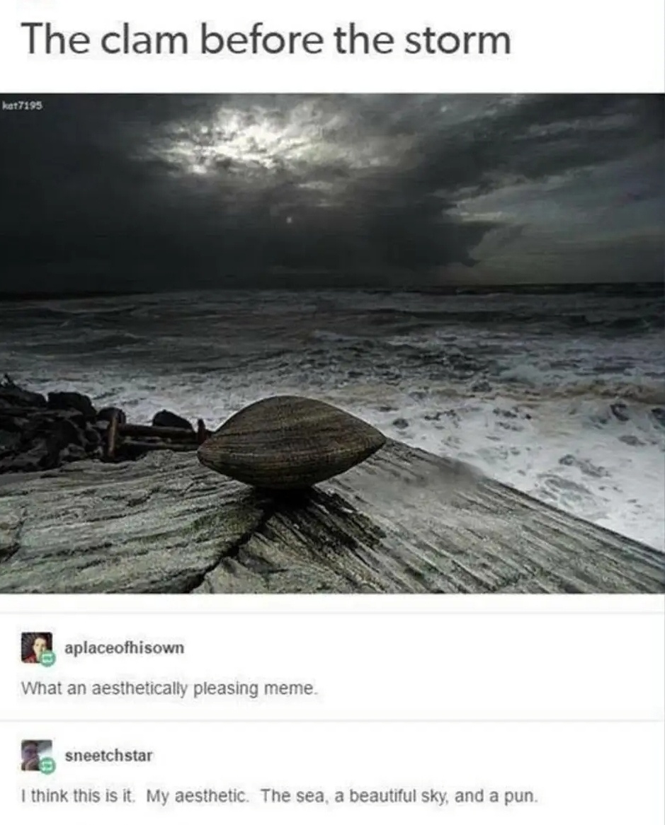 20 Bottom Shelf Memes that are out of this World 18 The clam before storm