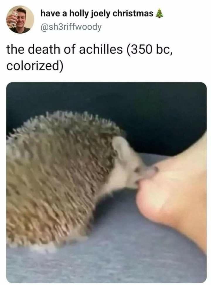 20 Memes That Are Too Random to Be Made Up 15 The death of achilles