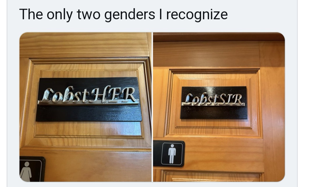 20 Memes So Random They Deserve Their Own Conspiracy Theory 16 The only two genders I recognize