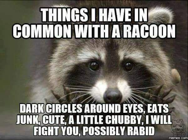 20 Memes That Are the Digital Equivalent of a Sneeze 13 Things I have in common