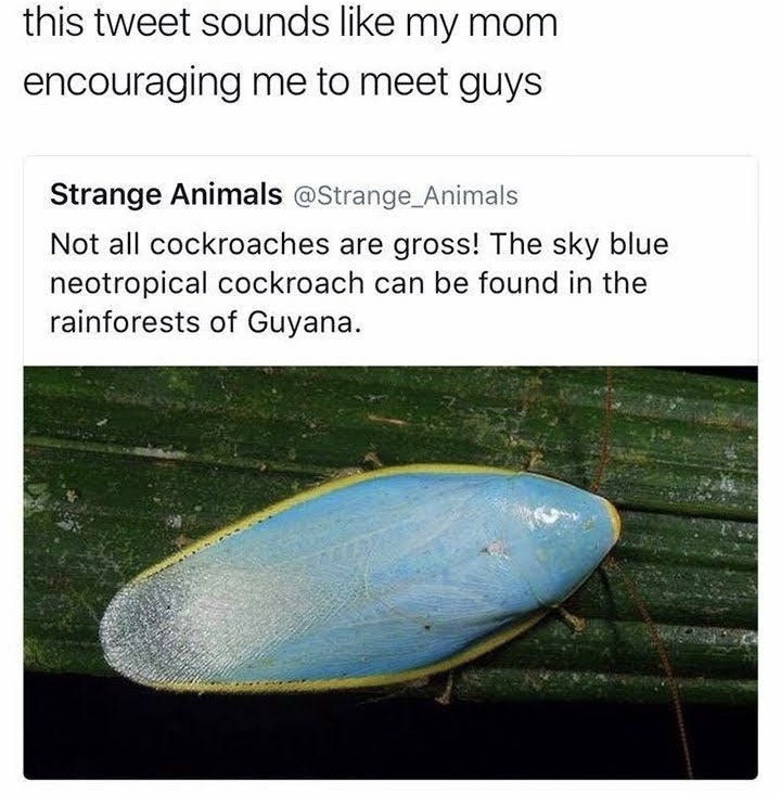 20 Memes That Are the Digital Equivalent of a Shrug 17 This tweet sound like