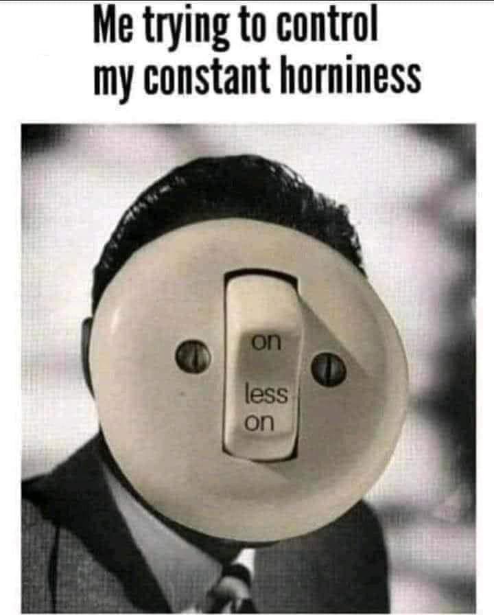 23 Dirty Humor Memes to Keep You Laughing in the Dark 17 Trying to control - Dirty Humor Memes
