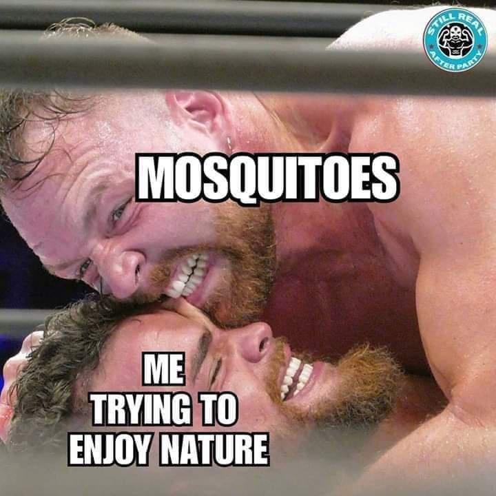 20 Memes That Are the Digital Equivalent of a Sneeze 15 Trying to enjoy nature
