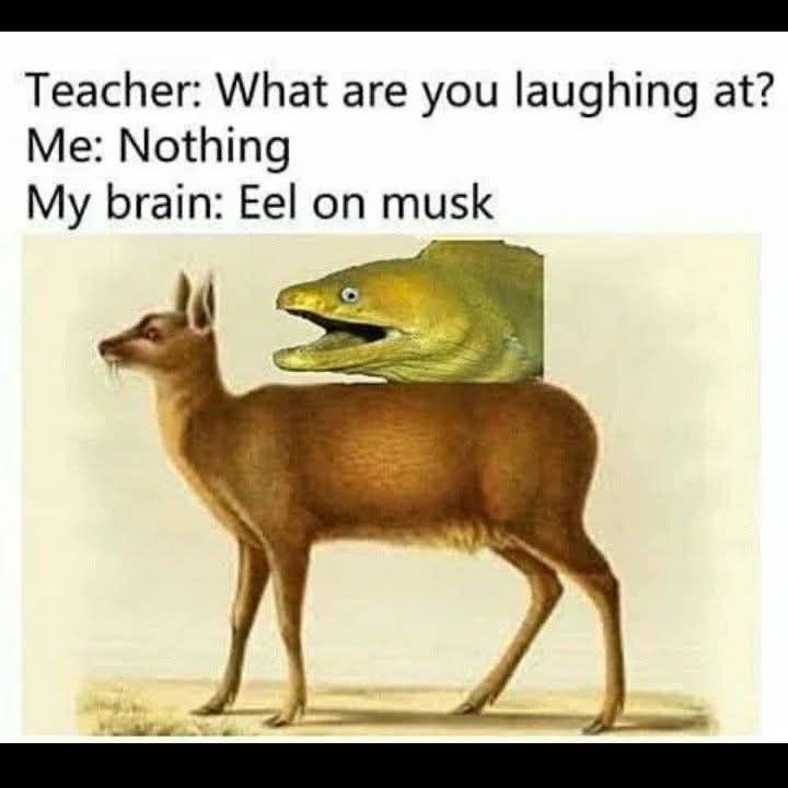 20 Dank Memes That Unlock Forbidden Laughter 16 WHat are you laughing at