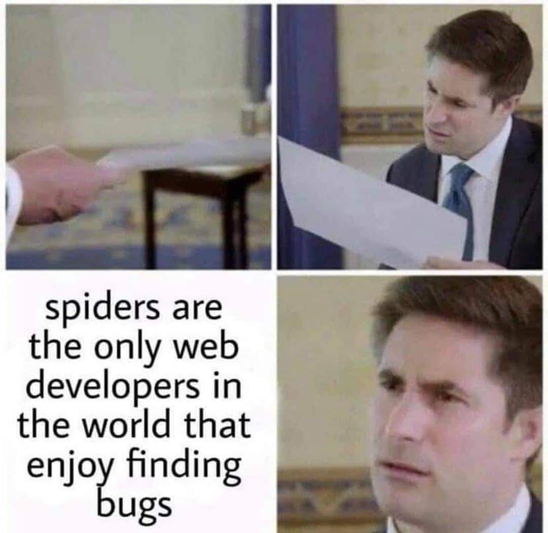 Web developers