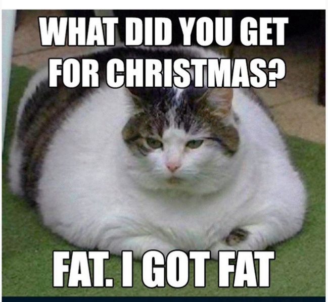 25 Hilarious Cat Memes To Start Your 2026 Off Right! 24 What did you get for christmas
