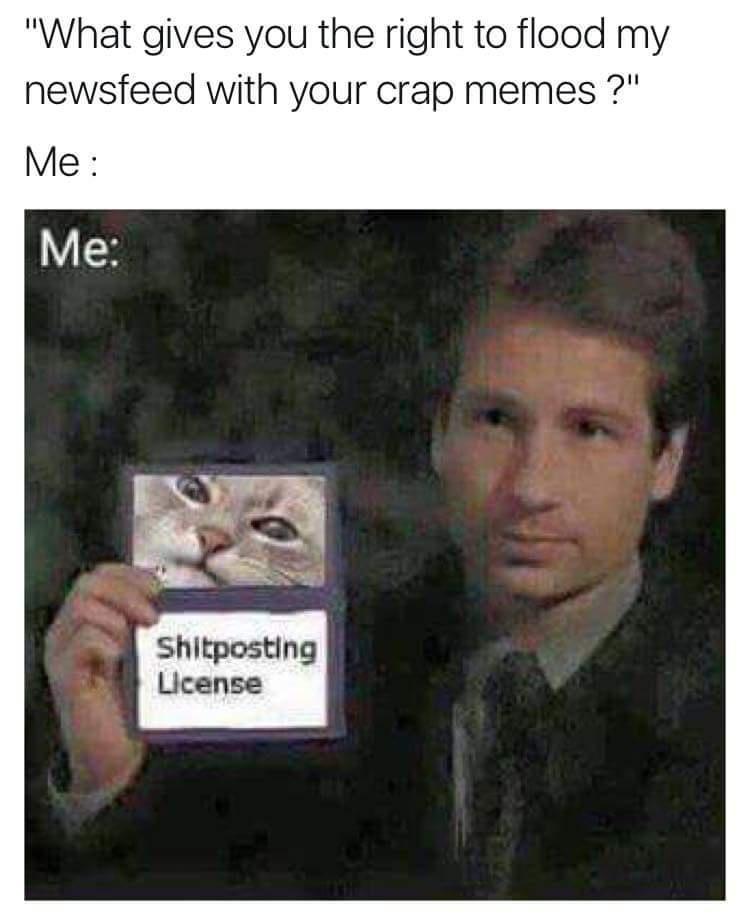 20 Memes That’ll Have You Rethinking Everything You Know 19 What gives you the right