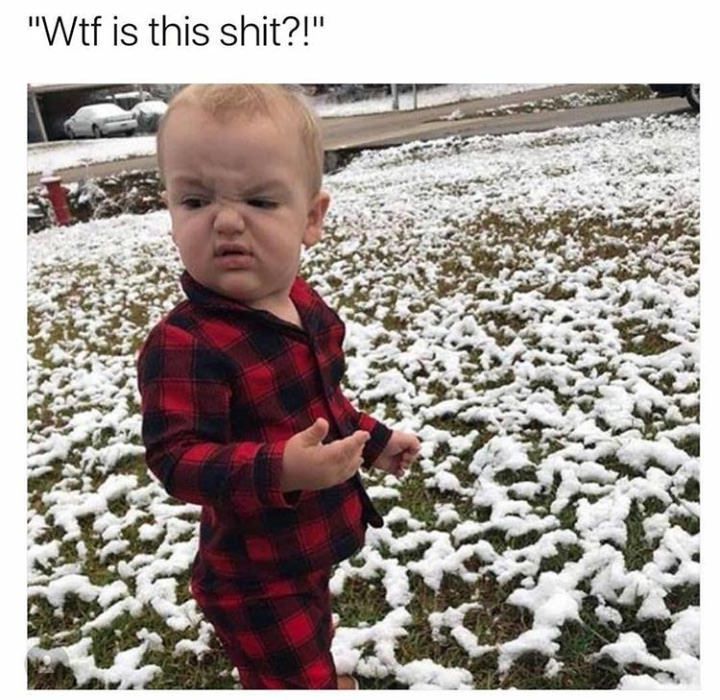 20 Memes That Feel Like Laughing in a Silent Room 20 What is this