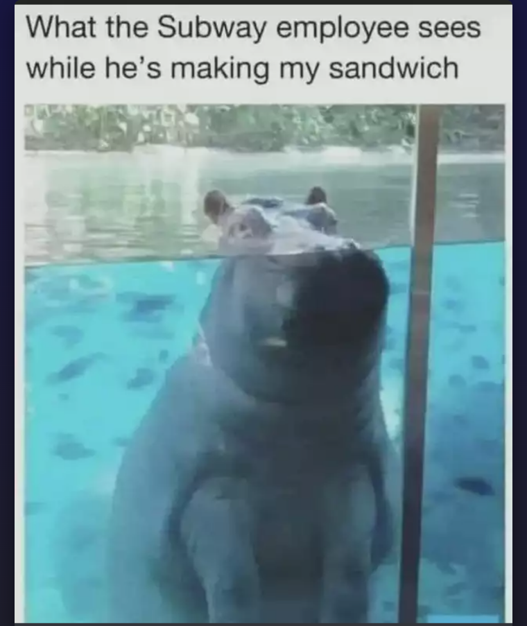 What the employee sees