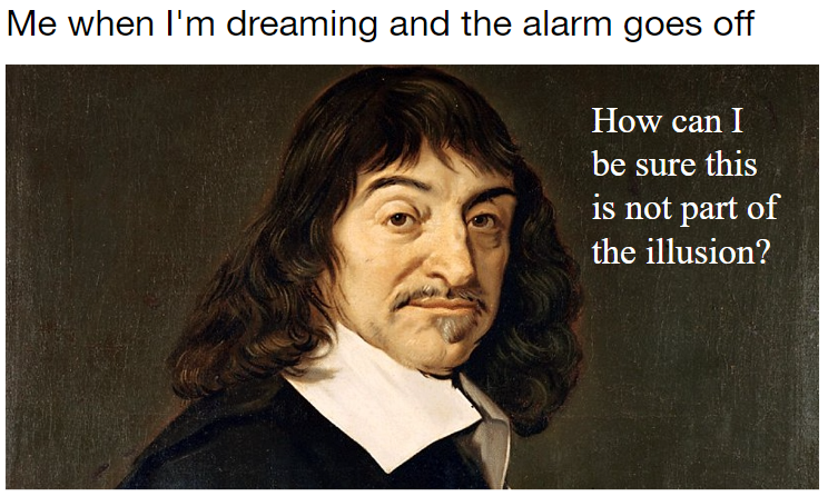 20 Memes That Are the Digital Equivalent of a Sneeze 16 When Im dreaming