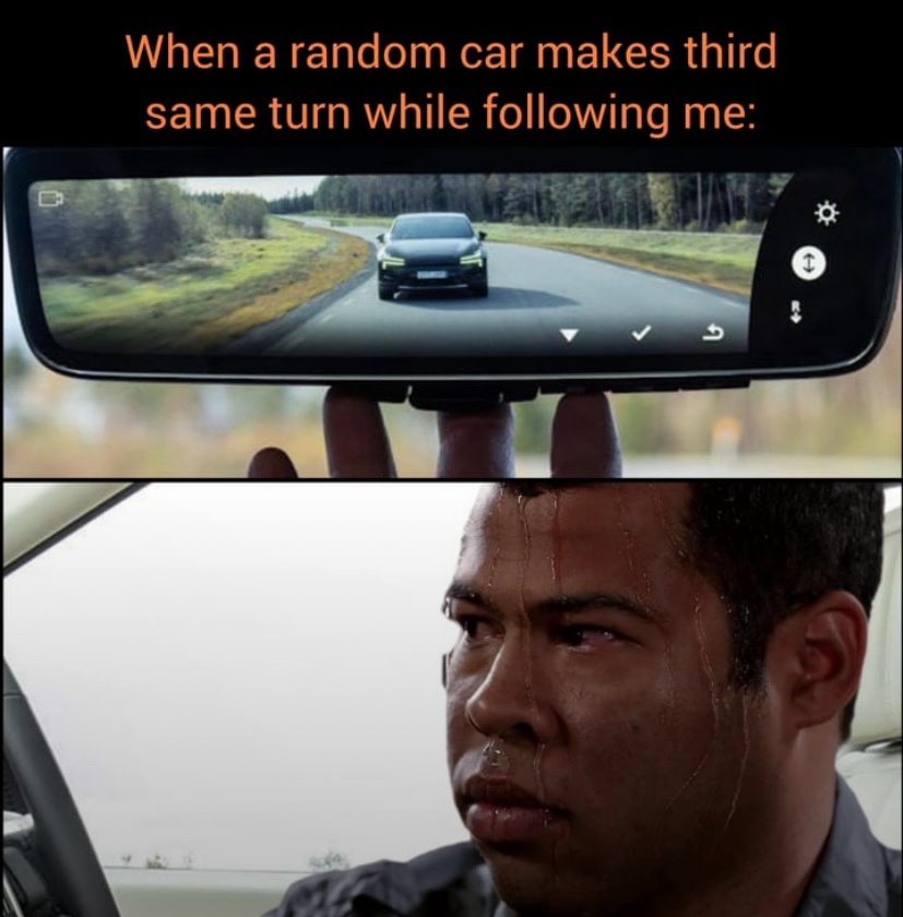 20 Memes That Smell Like Chaos and Taste Like Laughter 23 When a random car
