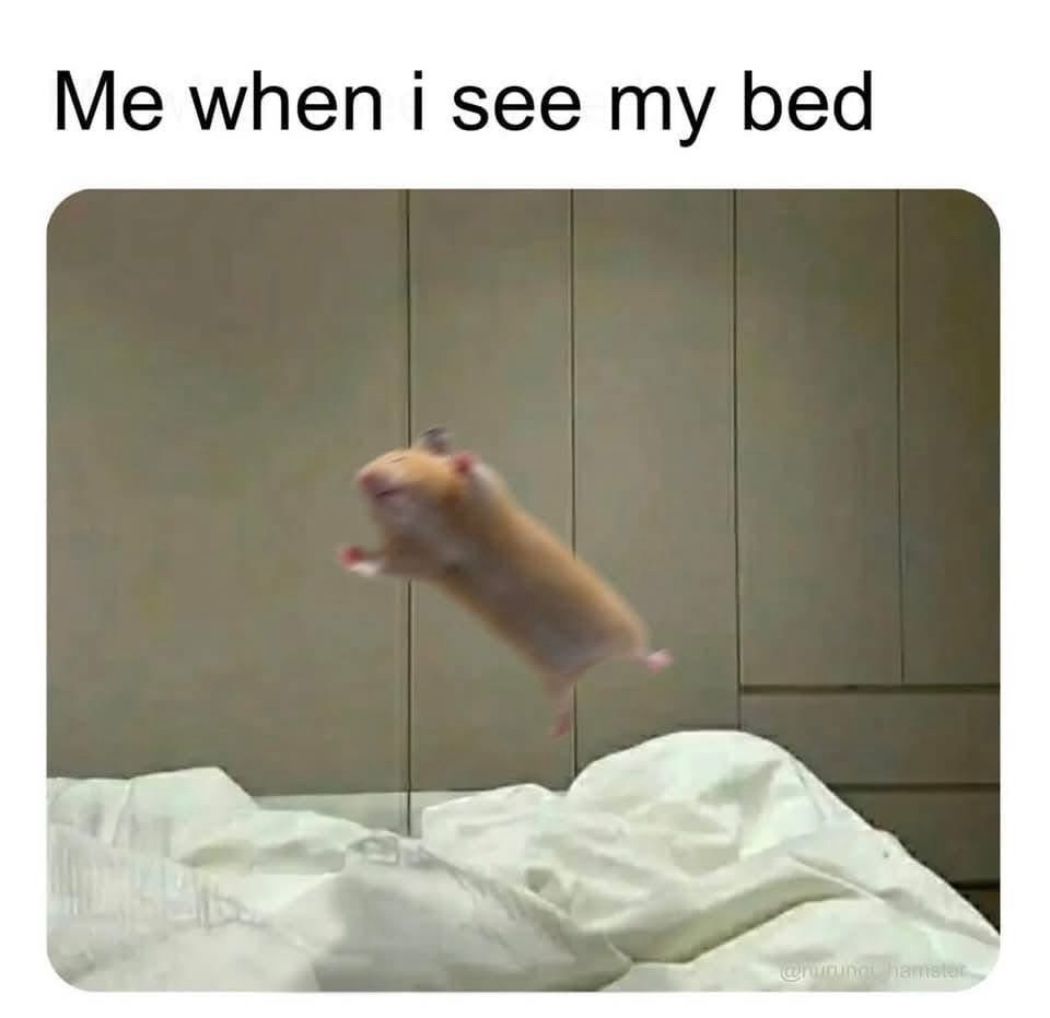20 Memes to Scroll Through When You’re Avoiding Life 19 When i see my bed