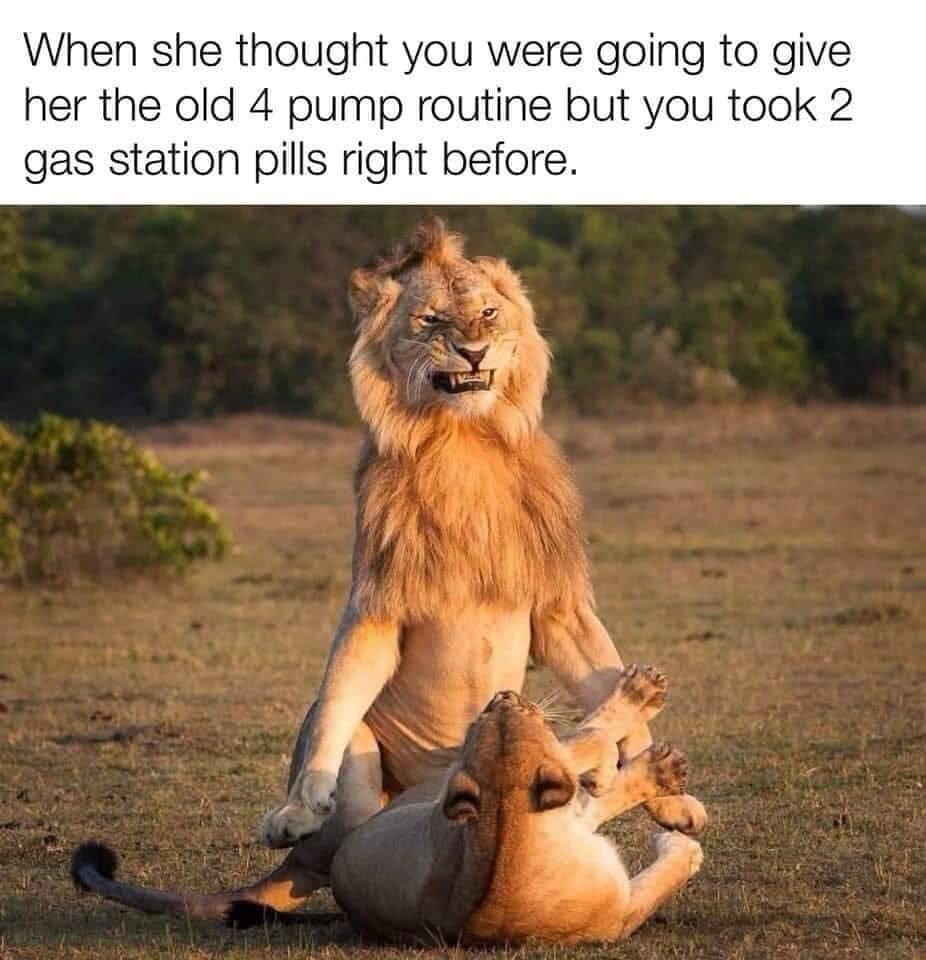 28 Memes That Are the Digital Version of Laughing Gas 25 When she thought