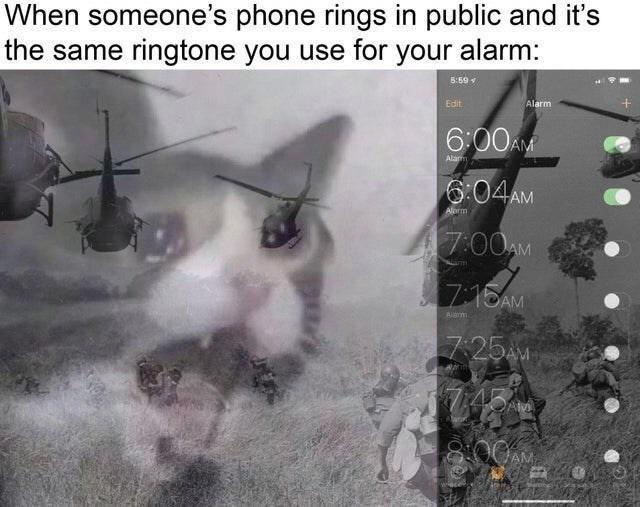 20 Memes That Are Like Finding Gold in the Internet’s Dumpster 21 When someones phone rings