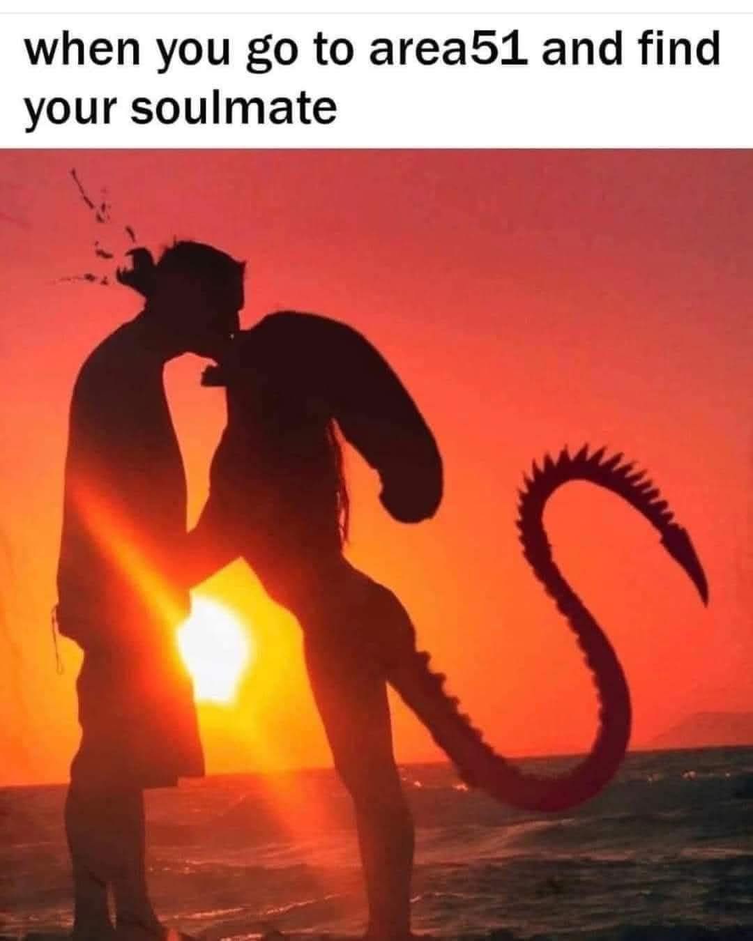 35 Illogical Memes That Make Too Much Sense 35 When you go to area 51