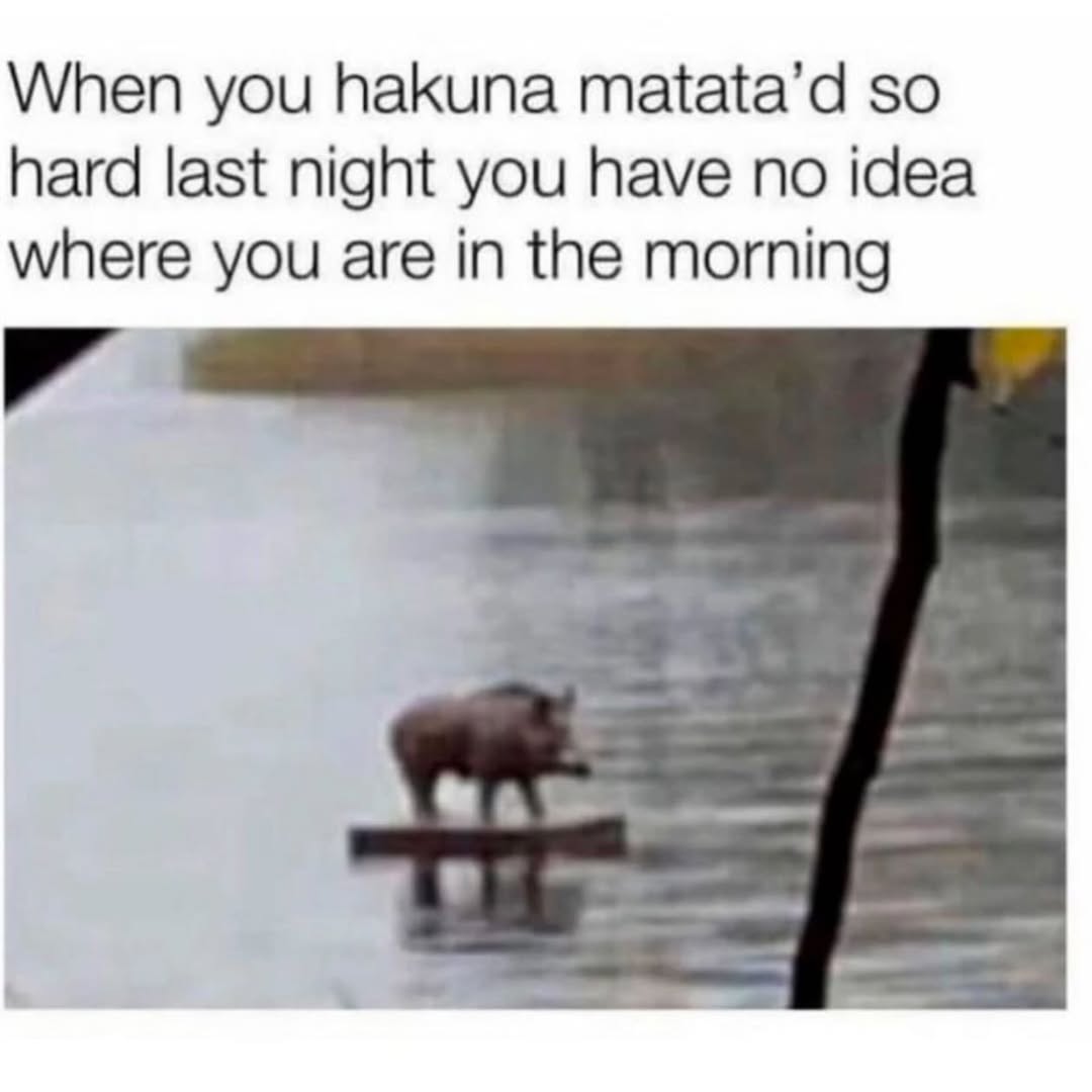 20 Ridiculous Animal Memes That Are Better Than Watching the News 18 When you hakunamatata - Ridiculous Animal Memesv