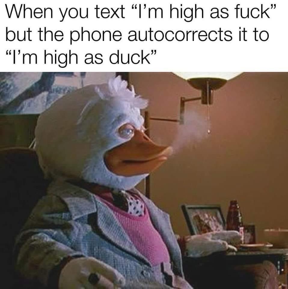 20 Memes That Are So Unpredictable, They Might Just Be Magic 19 When you text