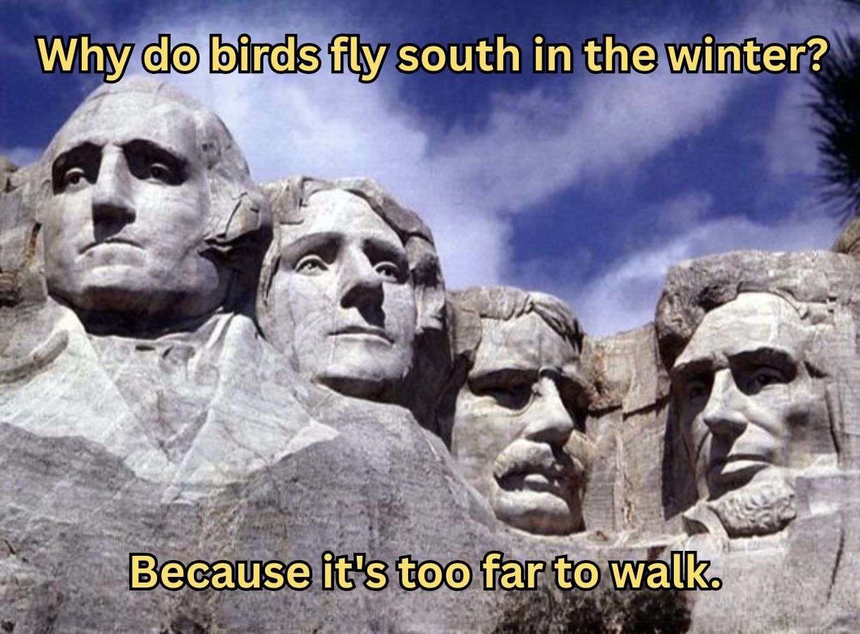 25 Unfunny Jokes That Will Leave You Stone-Faced 27 Why cant nose be 12 inches long