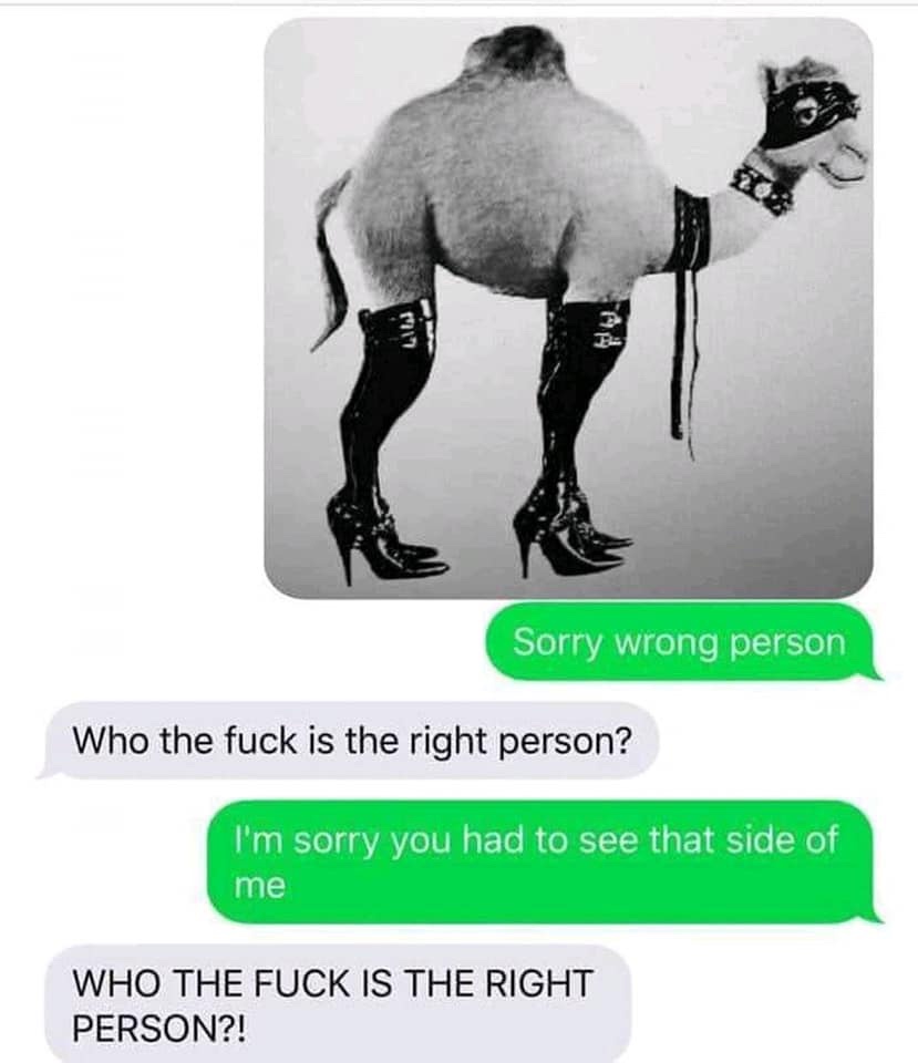 20 Memes That’ll Hit You Like a Flying Rubber Chicken 18 Wrong person