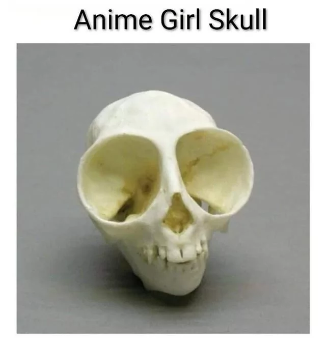 25 Slightly Twisted Memes: Humor with a Wicked Twist 24 anime girl