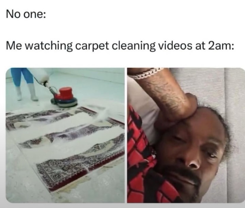 20 Memes That’ll Hit You Like a Flying Rubber Chicken 2 arpet cleaning videos