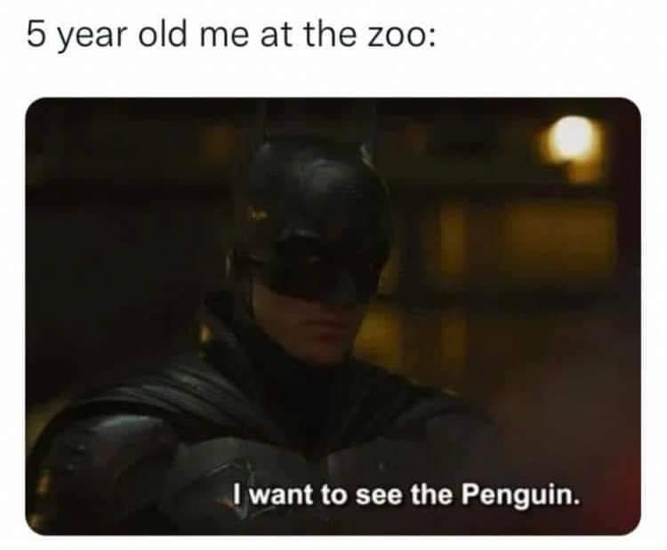 at the zoo