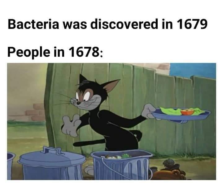 bacteria was discovered