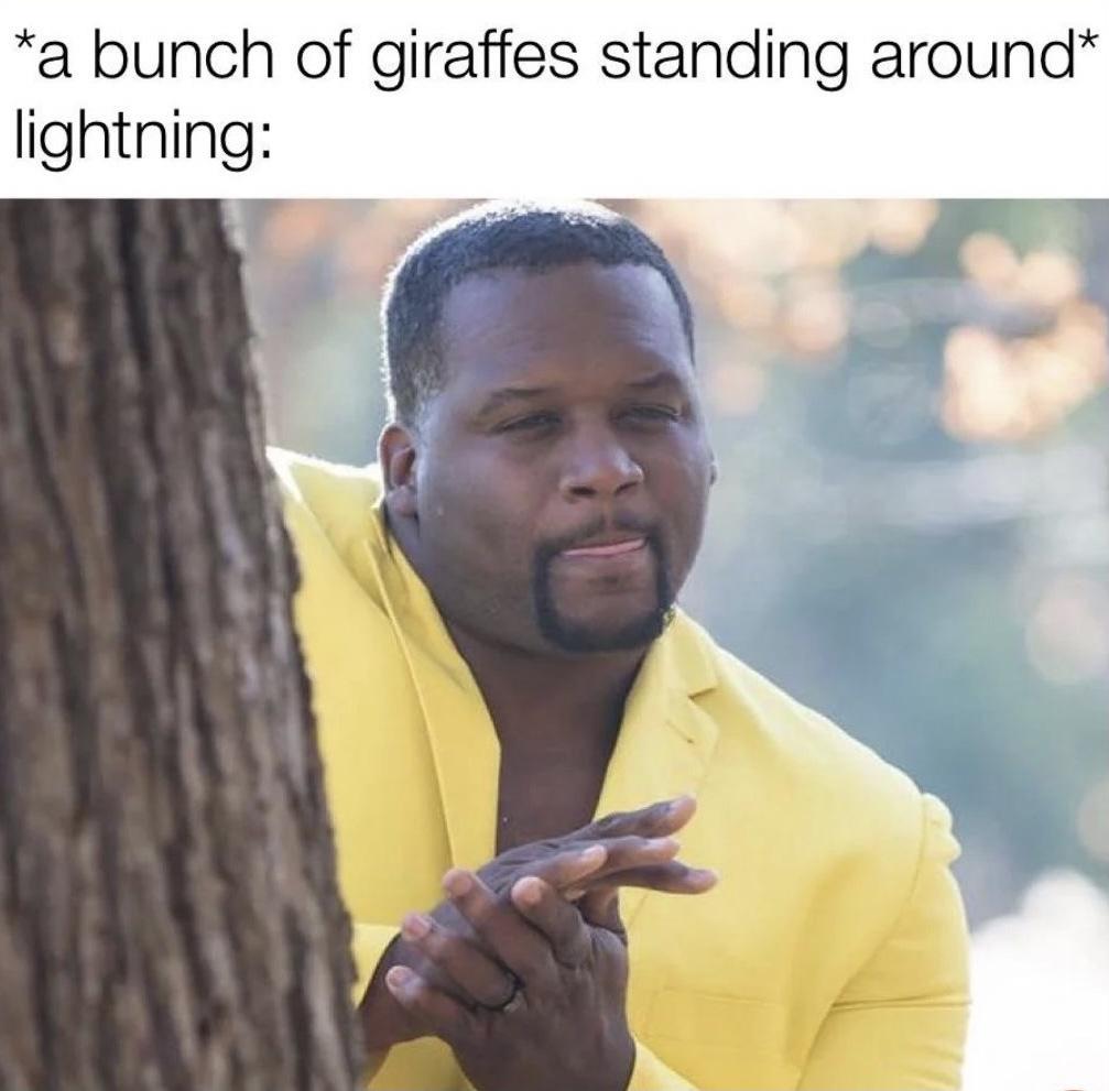 27 Memes That Are the Digital Equivalent of a Mic Drop 25 bunch of girrafes