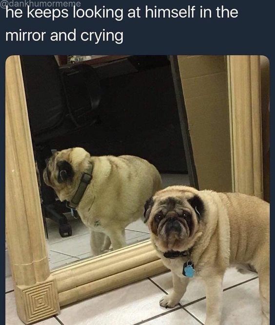20 Social Anxiety Memes That Understand Your Awkward Soul 3 eeps looking at himself - Social Anxiety Memes