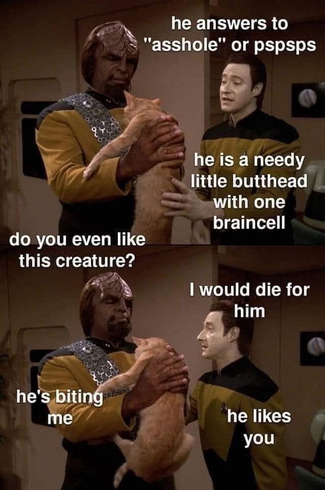 23 Memes as Random as Your Midnight Cravings 3 he answers