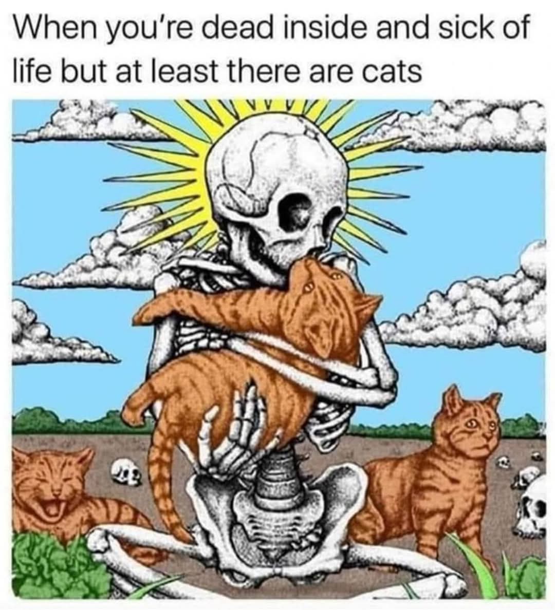 20 Random Memes That Feel Weirdly Personal 10 hen youre dead inside