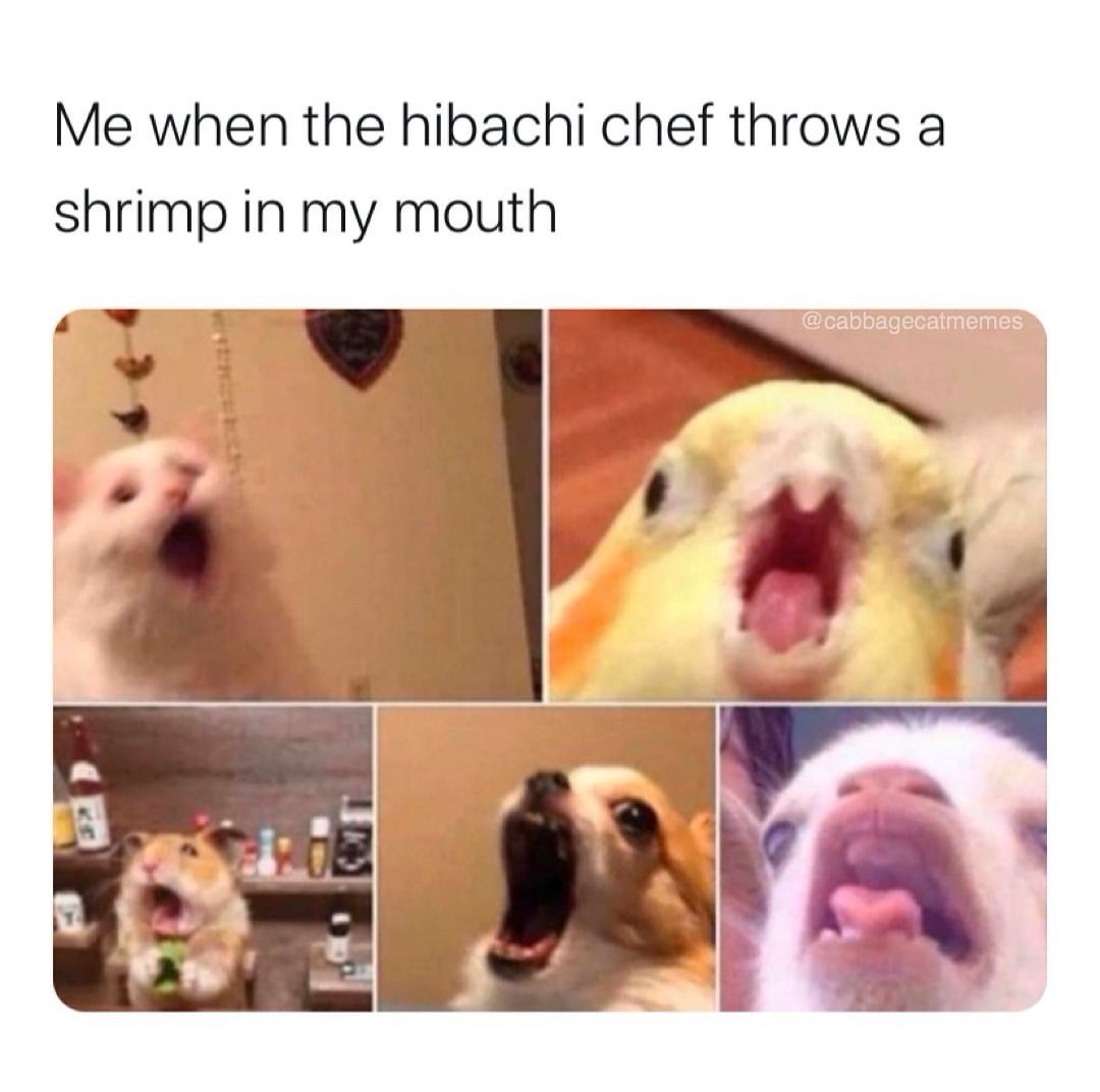 20 Memes That Are Random Enough to Be Considered Modern Art 2 hibachi chef throws a shrimp