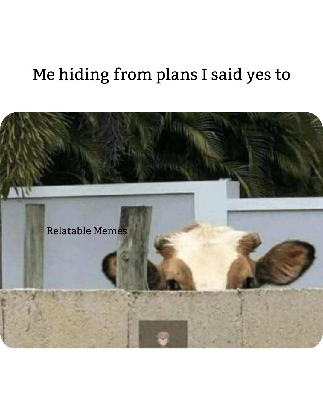 hiding from plans