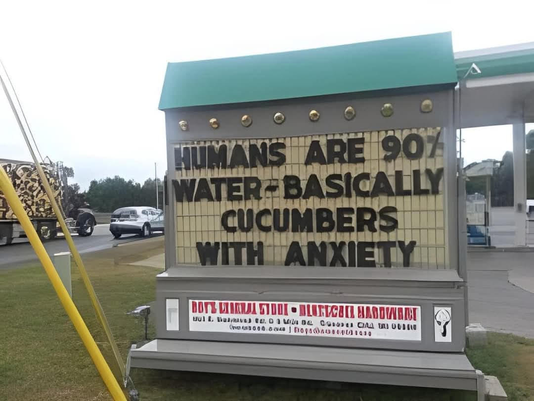 20 Ridiculous Signs That Prove Logic Is Overrated 10 humas are water - Ridiculous Signs