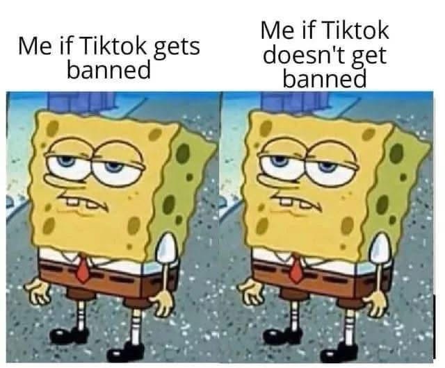20 Memes to Scroll Through When You’re Avoiding Life 11 if tiktok gets banned