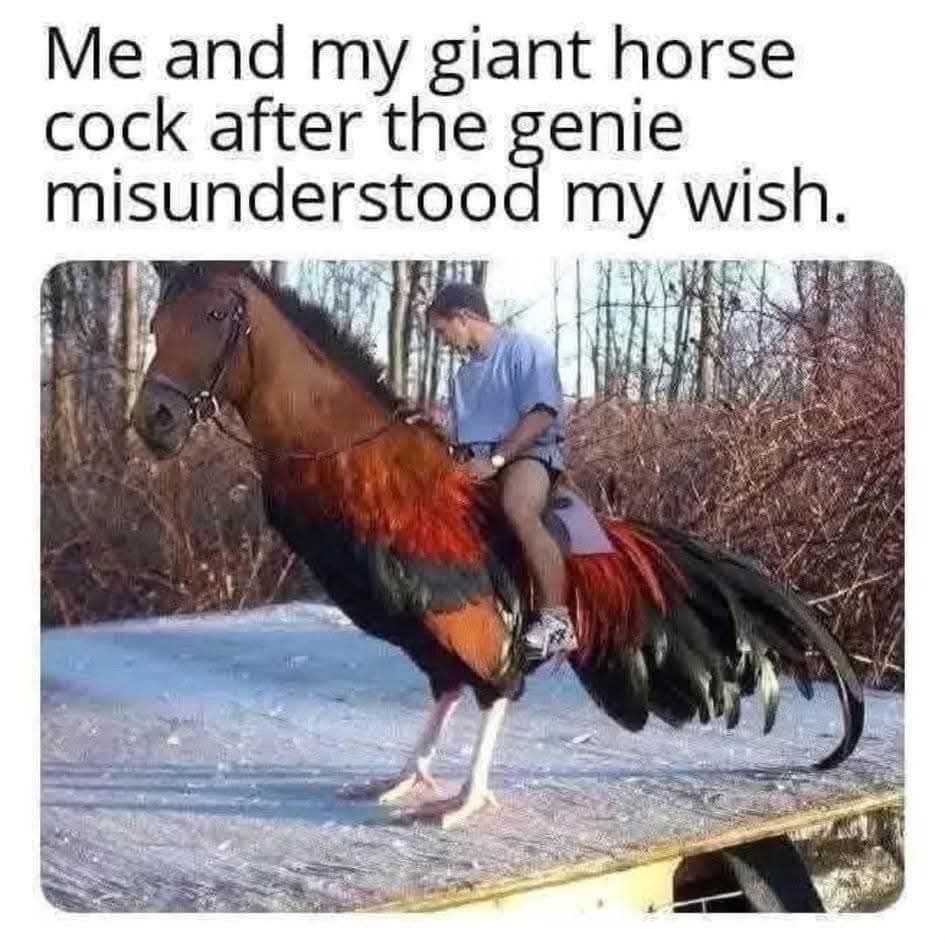 20 Dank Memes That Unlock Forbidden Laughter 10 me and my horse