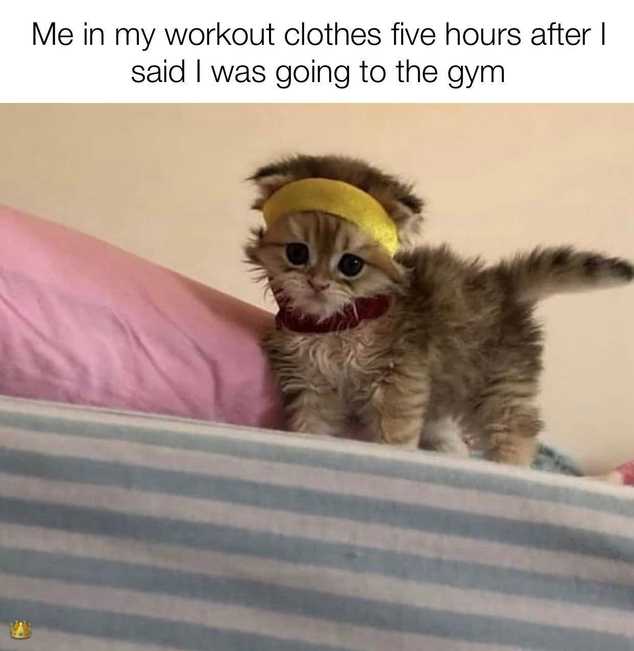 20 Memes That Smell Like Chaos and Taste Like Laughter 12 me in my workout clothes