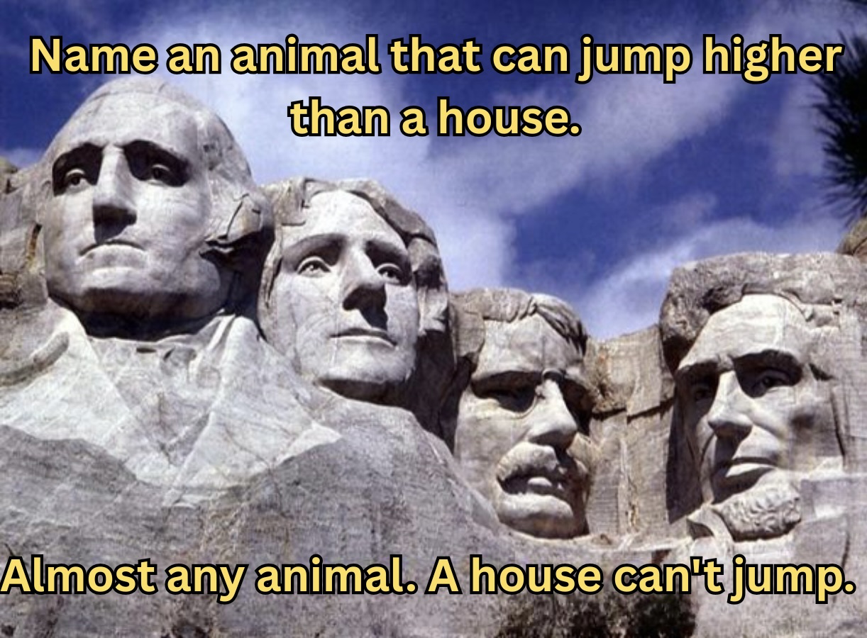 25 Unfunny Jokes That Will Leave You Stone-Faced 24 name an animal that can jump higher