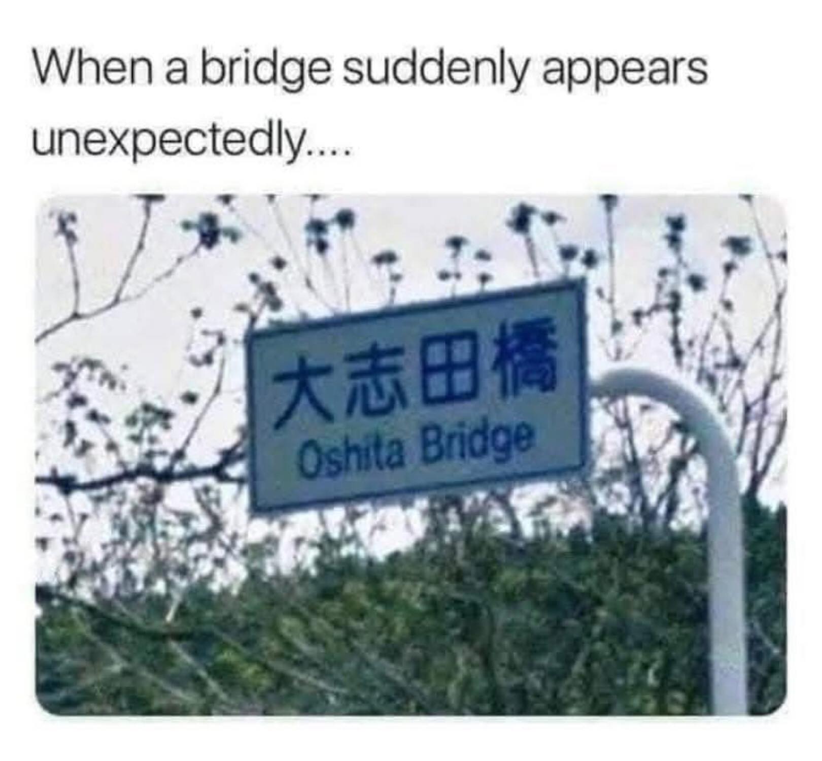 oshita bridge