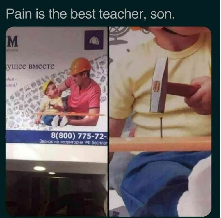 20 Memes That Are Definitely Up to Something 12 pain is the best teacher