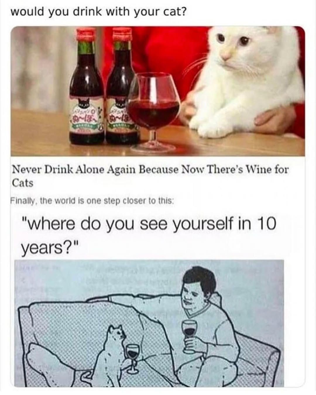 20 Ridiculous Animal Memes That Are Better Than Watching the News 14 rink with your cat - Ridiculous Animal Memes