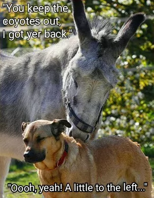 A little to the left