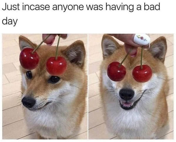 Anyone having bad day