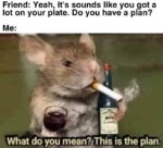 Memes That Are Like the Internet’s Drunk Uncle—Weird But Hilarious - FG