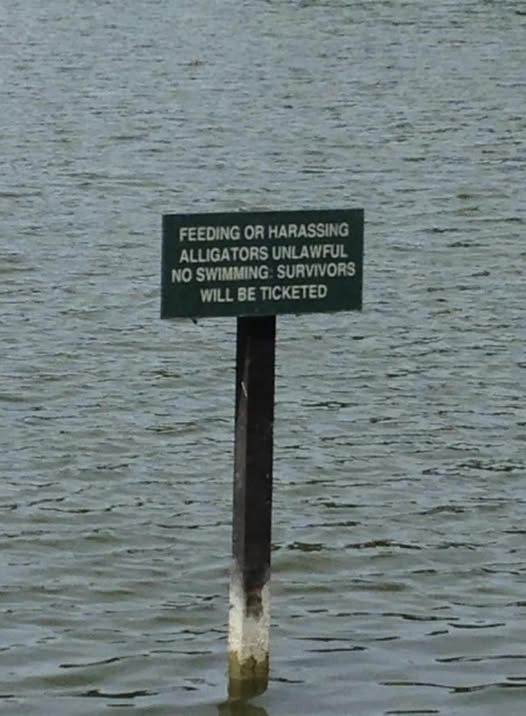 Feeding or harrising