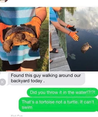 40 Funniest "Hello Darkness My Old Friend Memes" Ever 22 Found this guy walking around