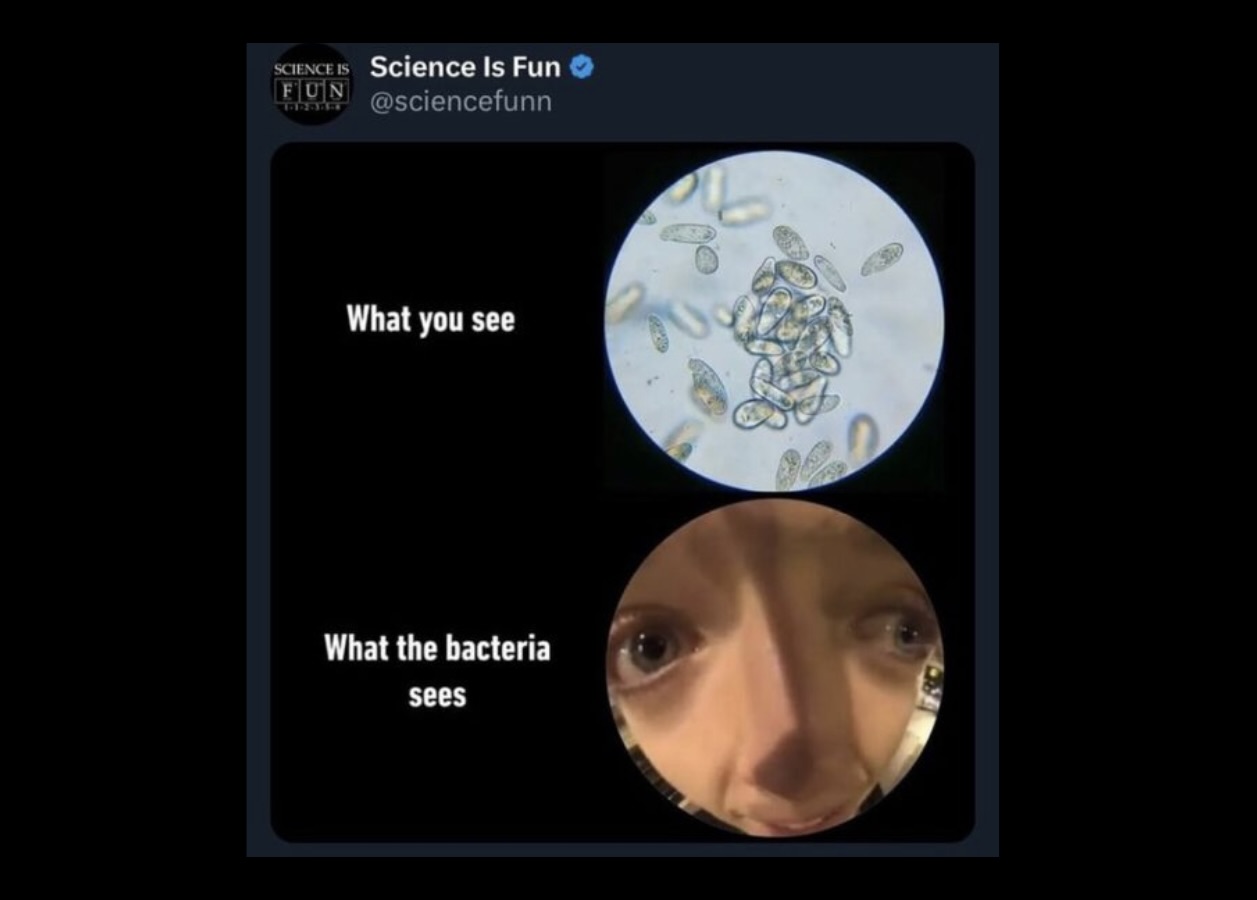 Funny Science Memes That Even Einstein Would High - FG.jpeg